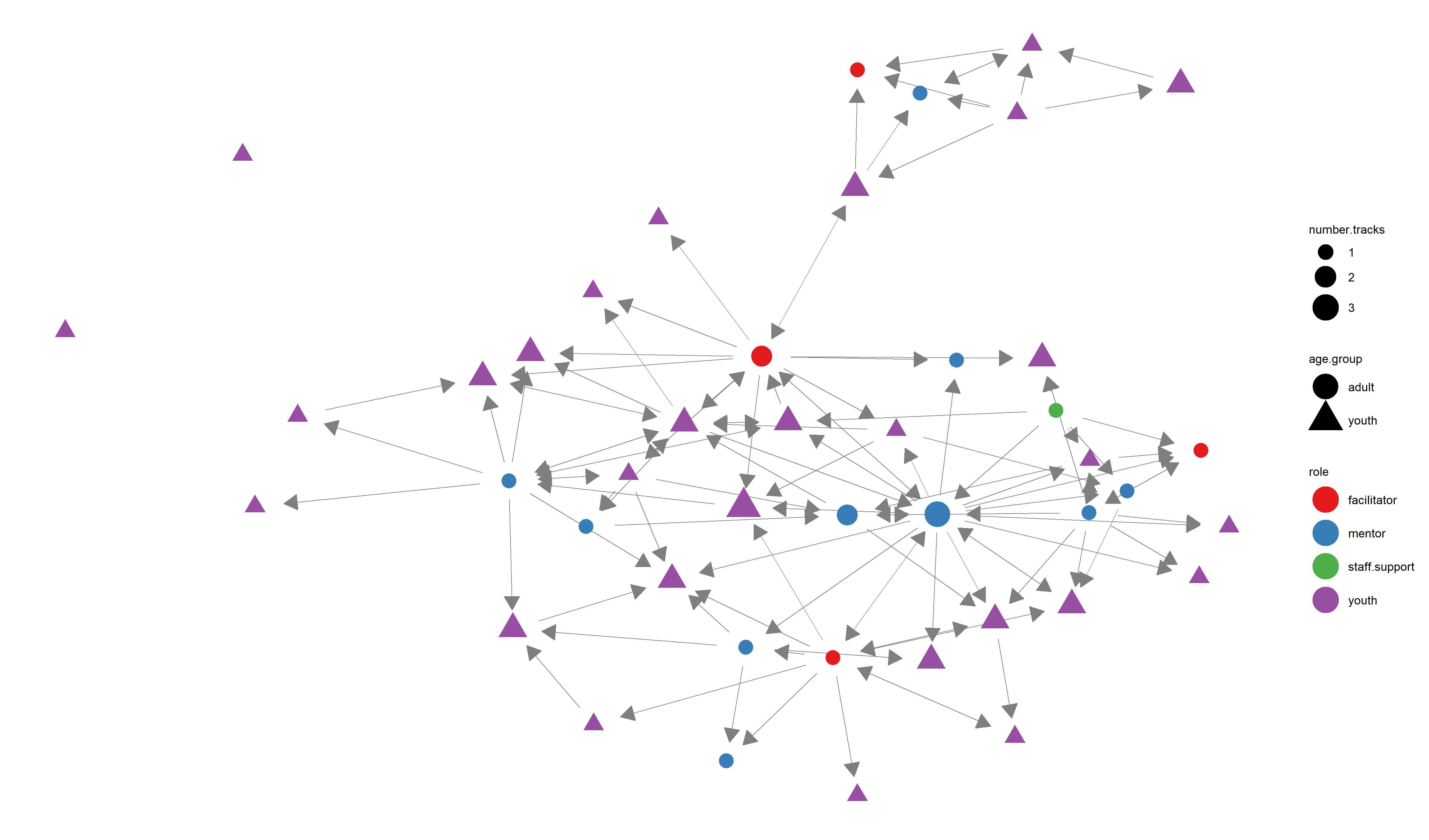 Example network graphic, showing connections between youth and various adults